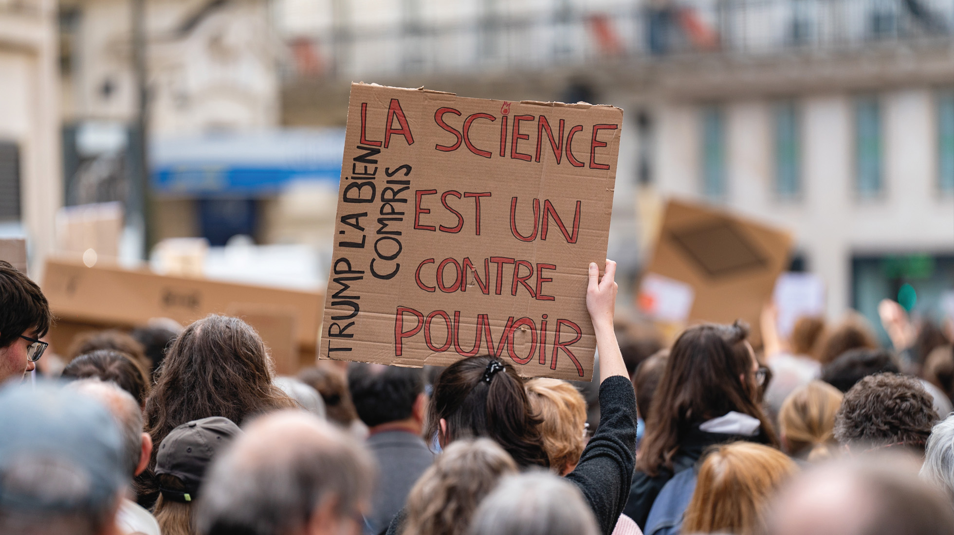 manifestation