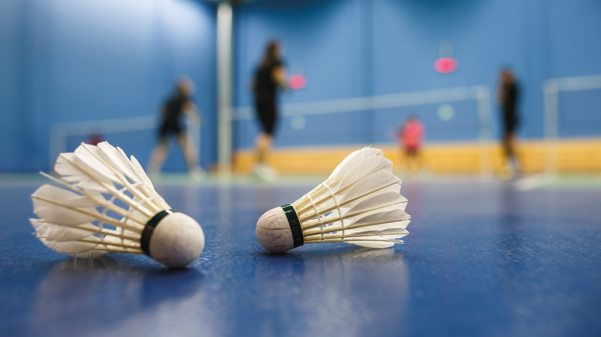 Volants de badminton