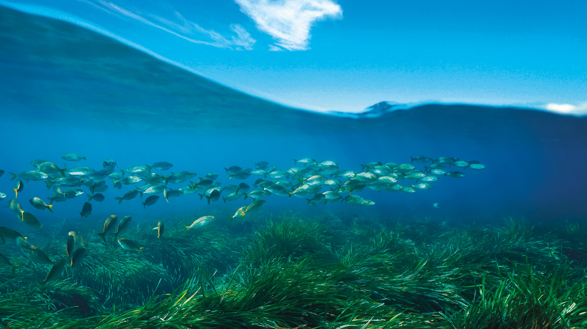 © SEAPHOTOART/ALAMY