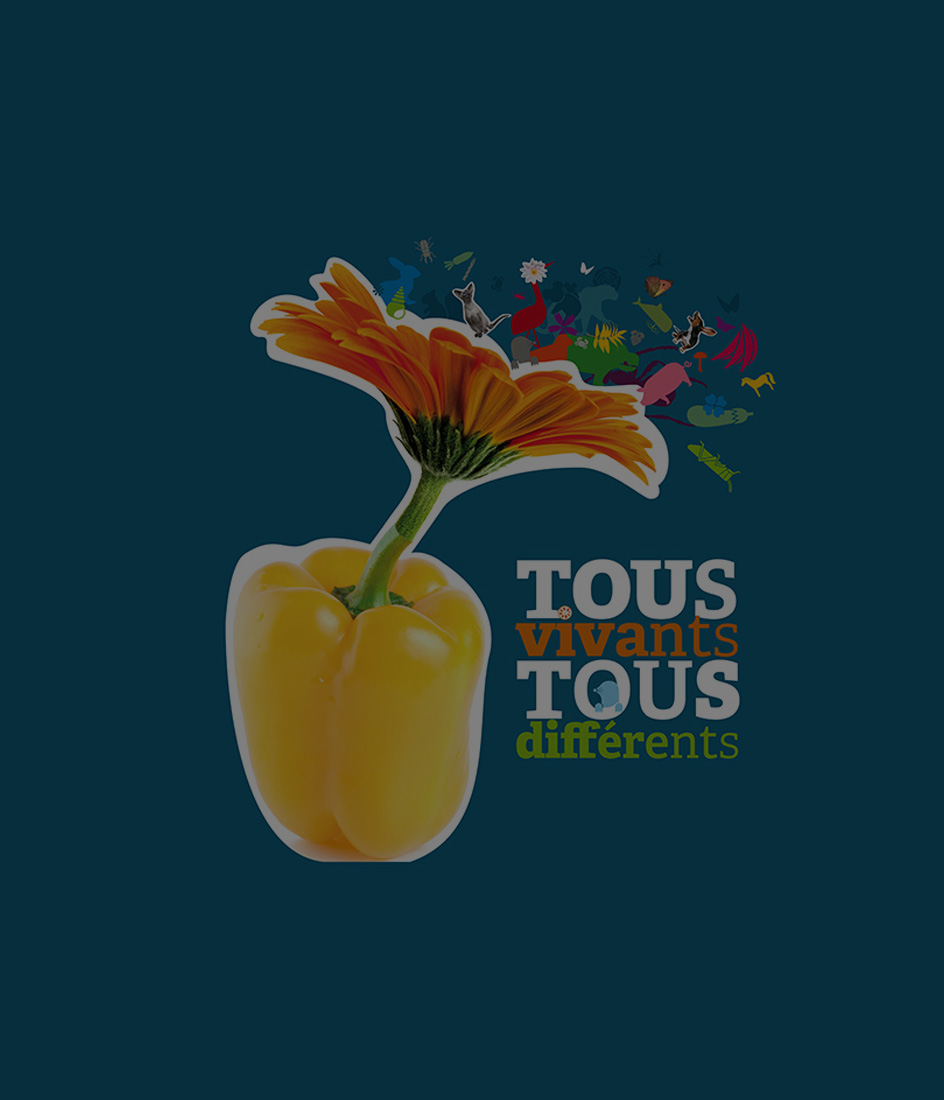 visuel de l'expo