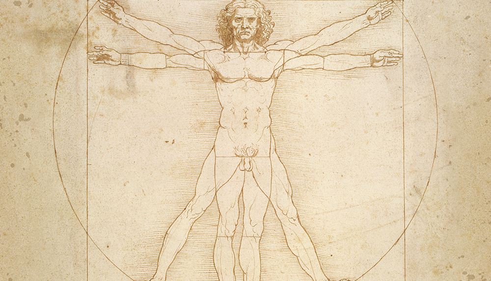 L'Homme de Vitruve de Léonard de Vinci