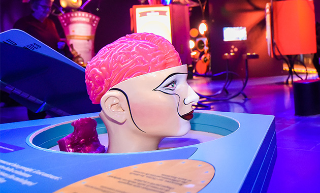 photo dans l'exposition Incroyable Cerveau