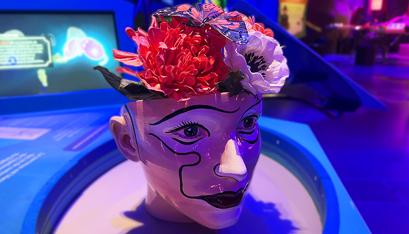 crâne avec fleur à la place du cerveau