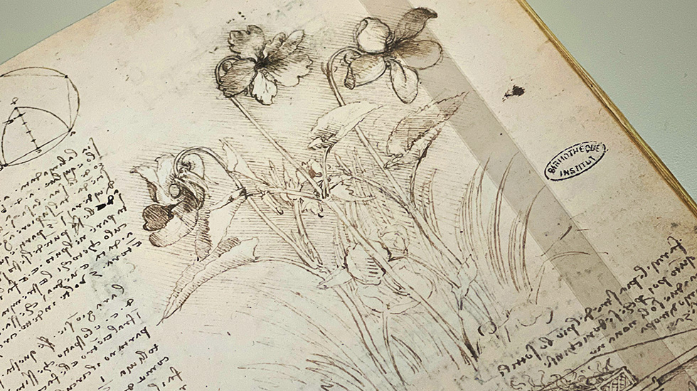 photo d'une reproduction d'un Codex de Léonard de Vinci, ouvert sur une page ou l'on peut voir des écritures manuscrites et un dessin de fleurs
