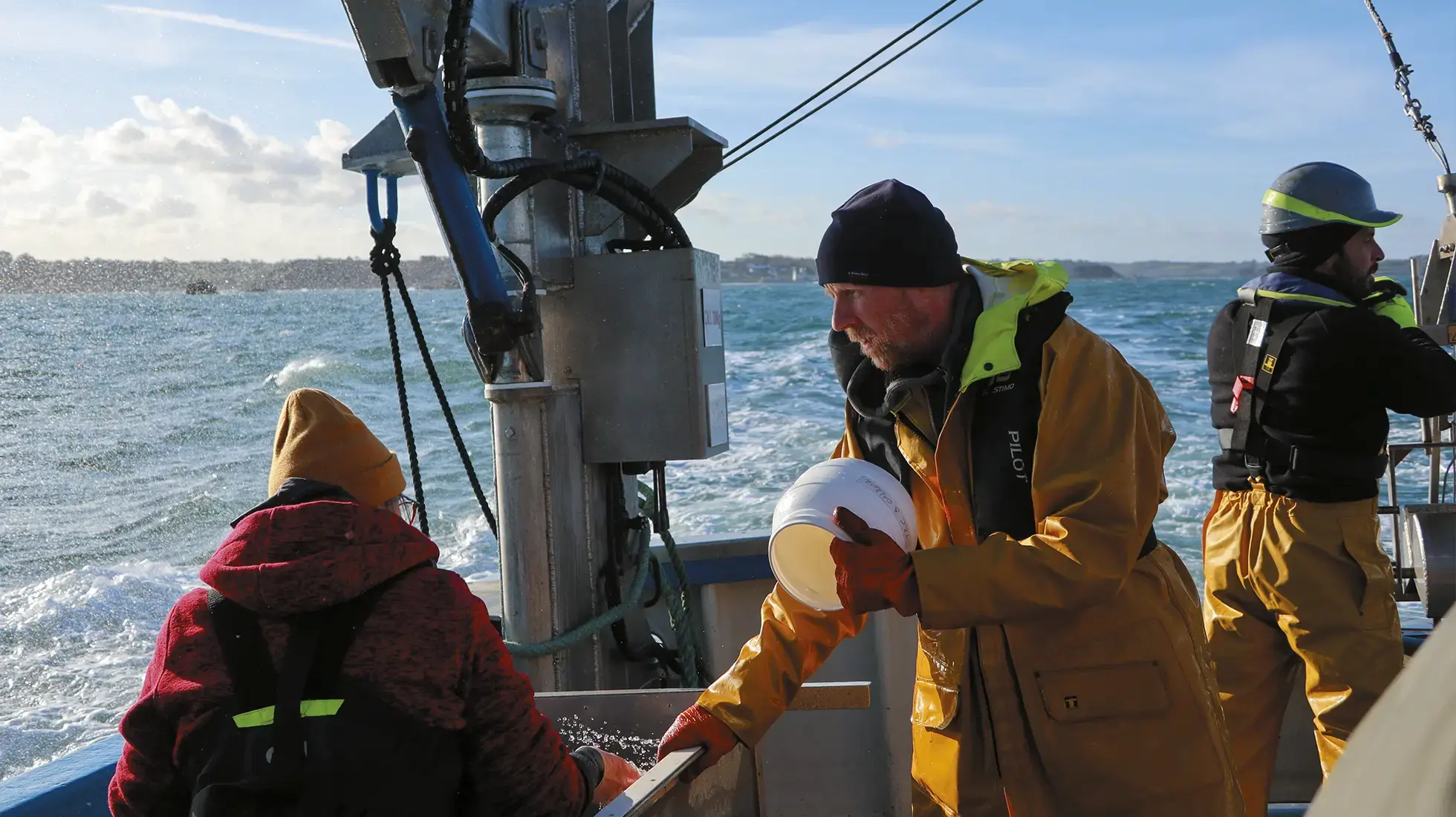 Collecte de spécimens marins sur le Néomysis au large de Roscoff (Finistère)