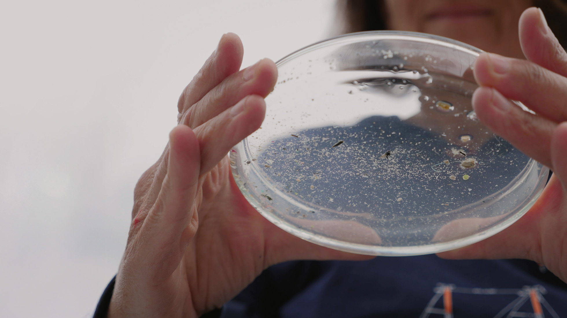microplastiques