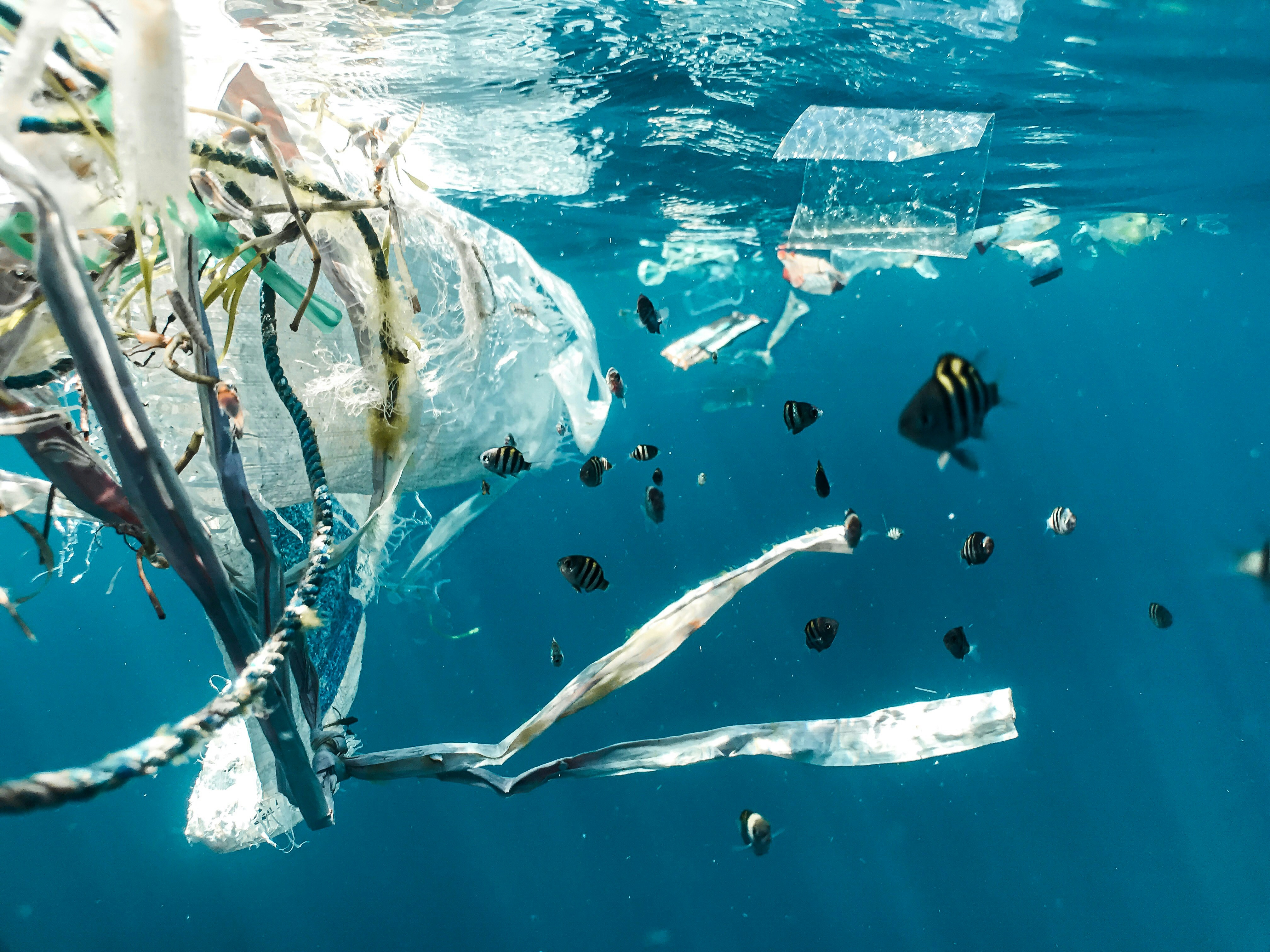 plastique sous l'eau