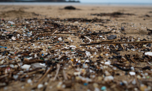 déchets plastiques sur une plage