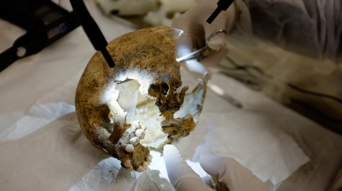 Etude d'ADN sur un crâne de Néandertal