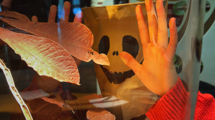 © Espace des sciences