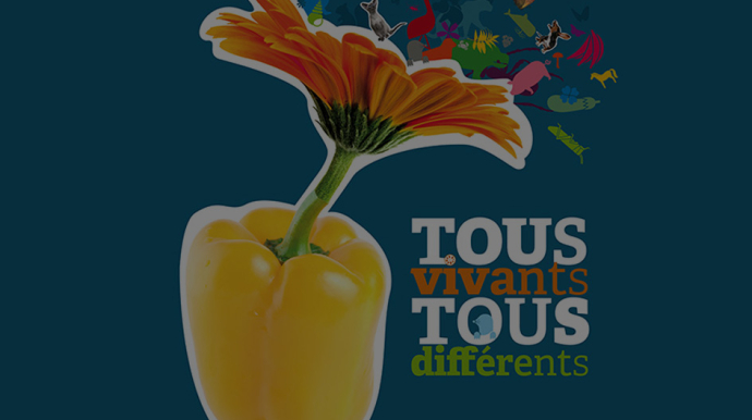 visuel de l'expo
