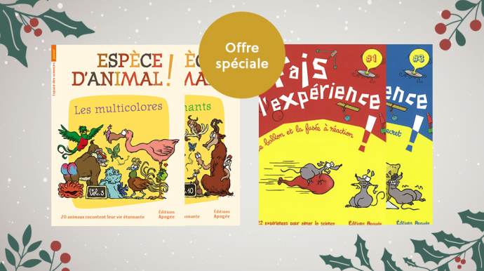 visuel présentant des livres en promotion pour Noël
