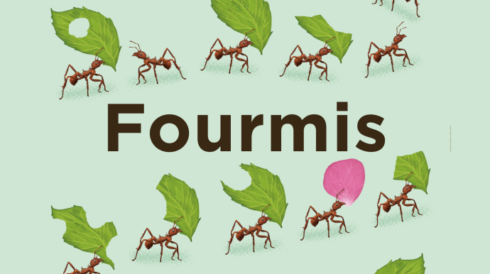 affiche de l'exposition fourmis