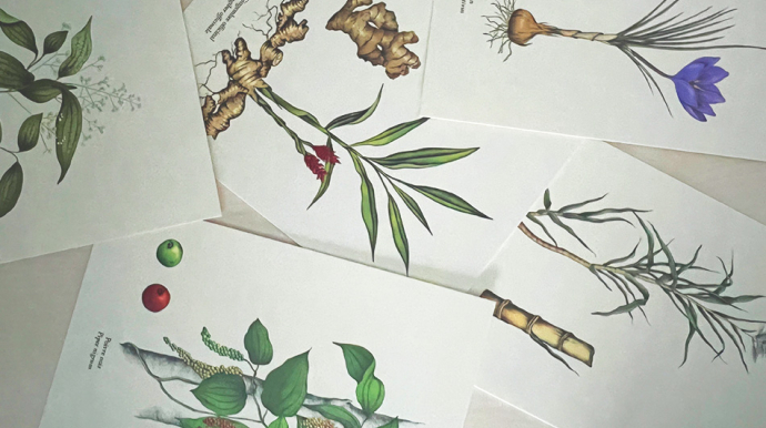 photo de plusieurs cartes postales botaniques