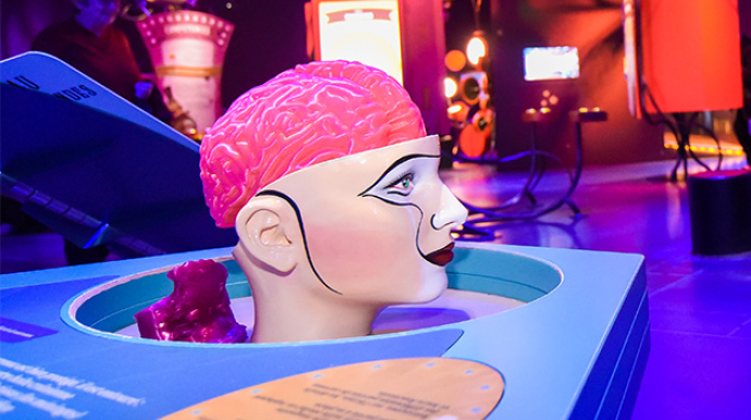 photo dans l'exposition Incroyable Cerveau