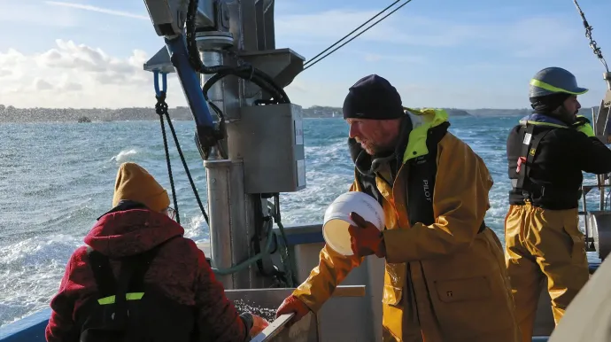 Collecte de spécimens marins sur le Néomysis au large de Roscoff (Finistère)