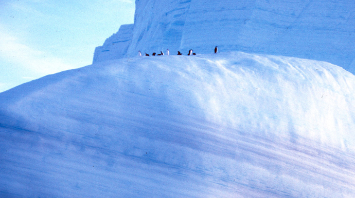 grande étendue de glace