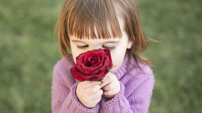 petite fille reniflant une rose rouge