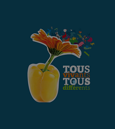 visuel de l'expo