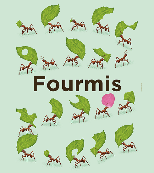 affiche de l'exposition fourmis