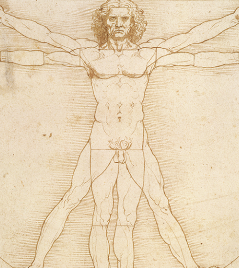 L'Homme de Vitruve de Léonard de Vinci