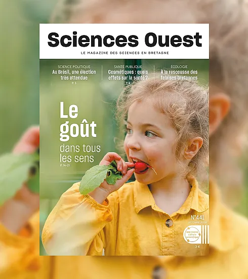 couverture du numéro 441 