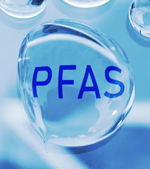 © Zimmytws - Istock.jpg