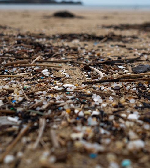 déchets plastiques sur une plage
