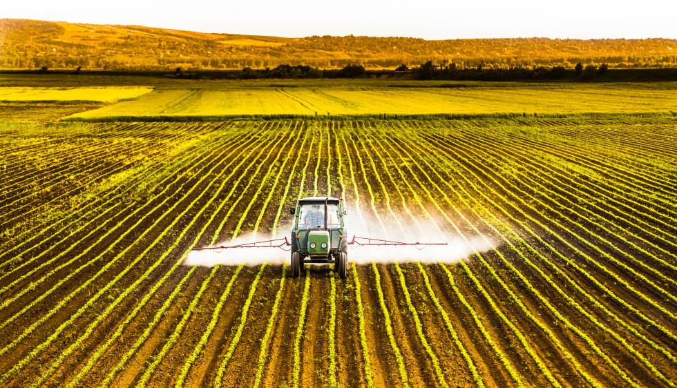 Photo d'un champs agricole