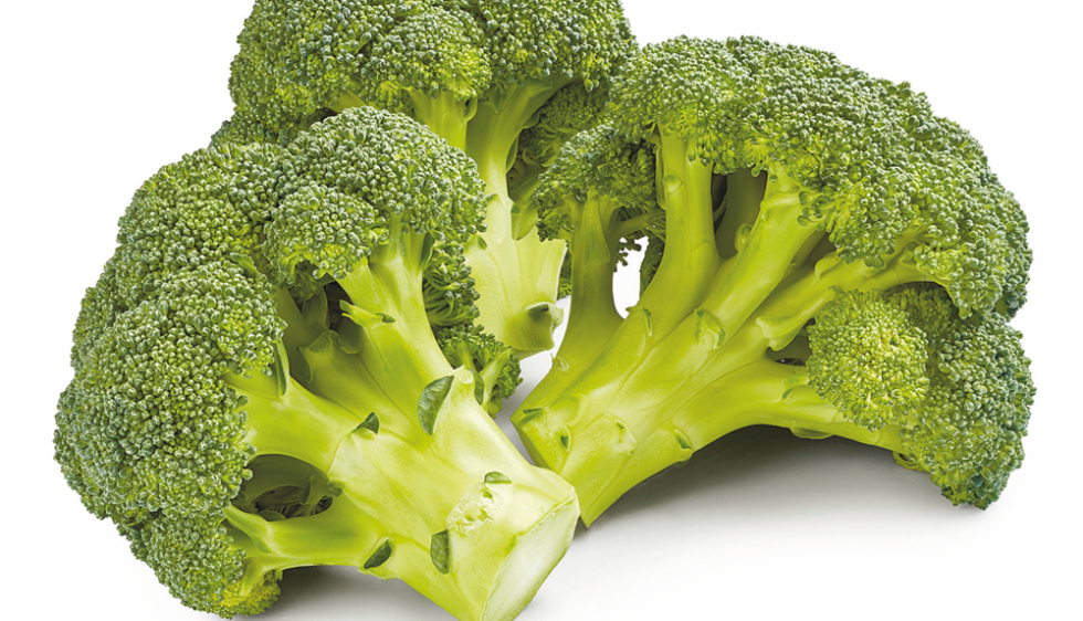 Le brocoli : qualités nutritionnelles et vertus médicinales