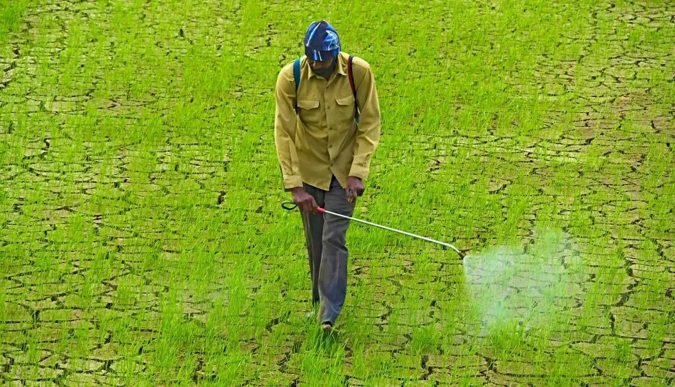 Photo d'une personne dans un champ