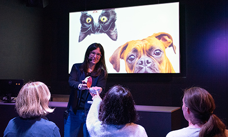 Chiens Chats Espace Des Sciences